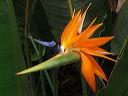 img_2013_0839